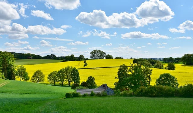 landscape