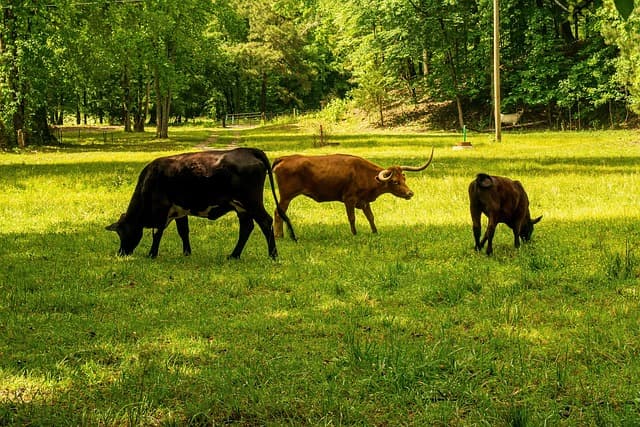 methane